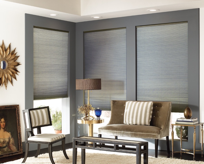 Cell shades in a traditional living room